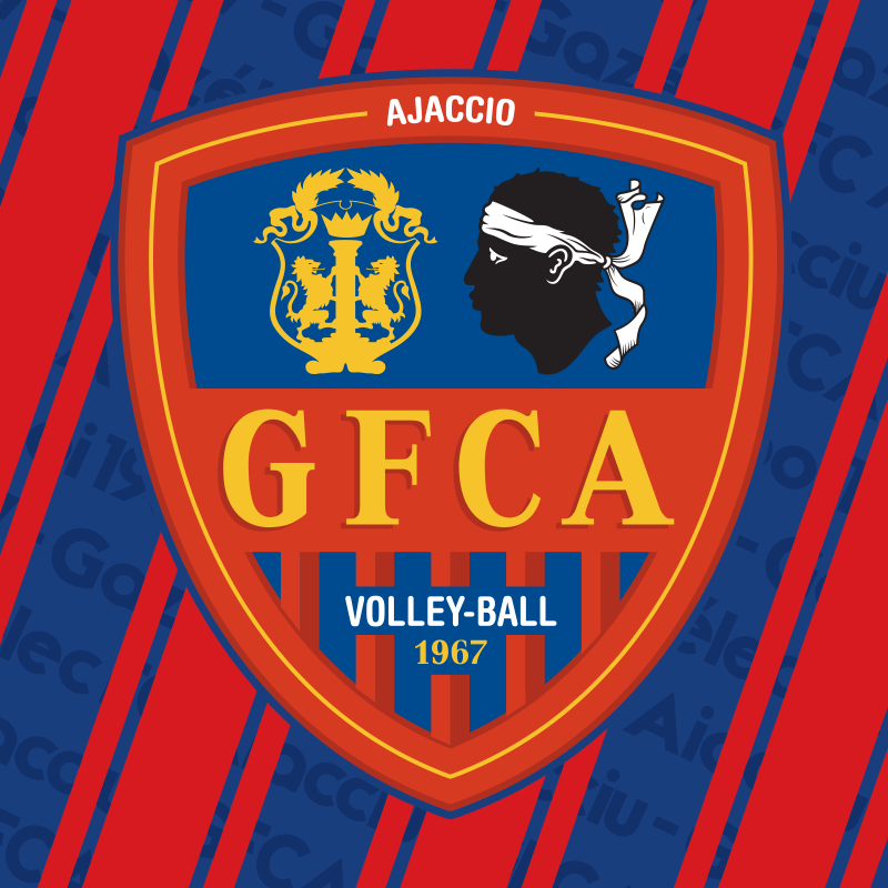 Fanion En Tissu Du Club AJACCIO GFC (Volley-ball) - Neuf